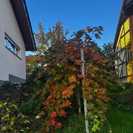 Kleine Auszeit - Ferienwohnung Heideberg - "Rhein" In Den Urlaub Bacharach Exterior foto